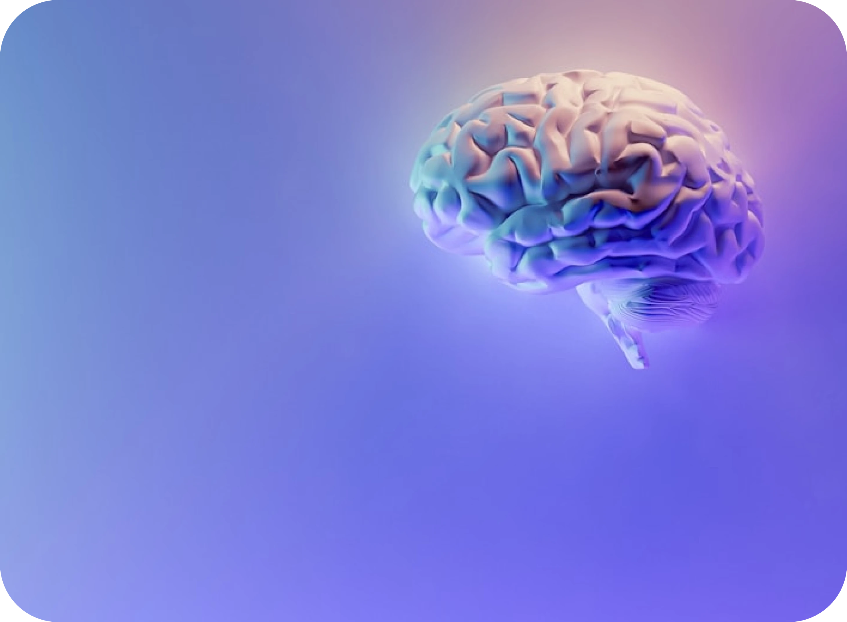 Cognitive Science Principles